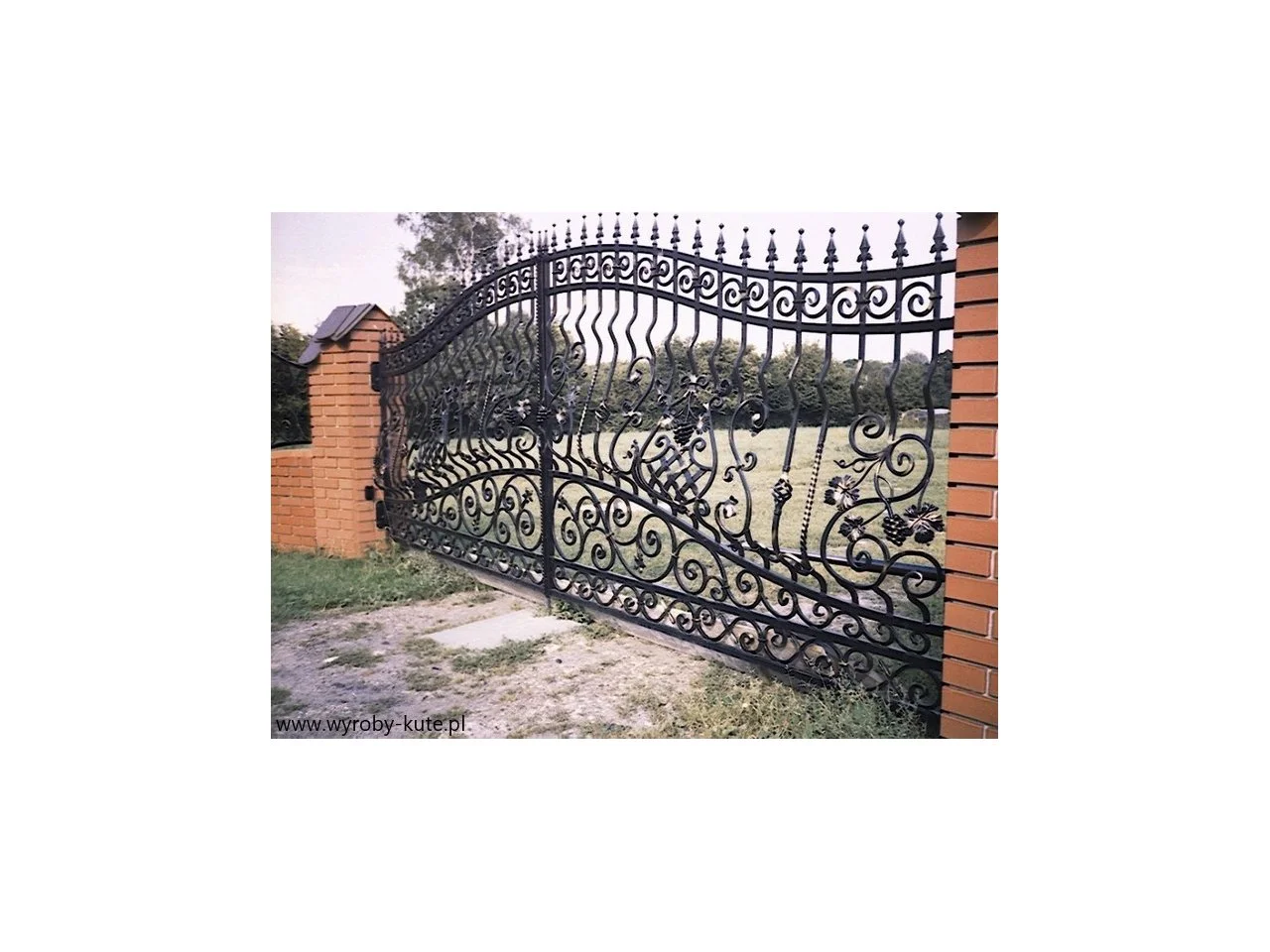 Wyrób kuty: Ornamentalna Brama Kuta Uchylna z Detalem Winorośli
