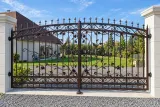 Artystyczna kuta brama wjazdowa z botanicznym ornamentem, model BU135 — odtworzone ujęcie oryginalne. Wizualizacja AI.