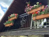 Wyrób kuty: Kuta Balustrada Balkonowa z Zintegrowanymi Kwietnikami i Ornamentyką Florystyczną