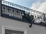 Wyrób kuty: Kuta Balustrada Ornamentalna z Elementami Floralnymi