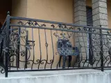 Wyrób kuty: Kuta Balustrada Zewnętrzna z Motywem Winnym i Herbem