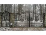 Wyrób kuty: Kuta Brama Wjazdowa Dwuskrzydłowa z Dekoracyjnymi Wypełnieniami