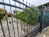 Wyrób kuty: Kuta Brama Wjazdowa Dwuskrzydłowa z Ornamentyką Różaną