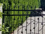 Wyrób kuty: Kuta Brama Wjazdowa i Furtka z Motywami Florystycznymi
