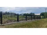 Wyrób kuty: Kute Ogrodzenie Posesyjne o Klasycznym Wzorze z Motywami Winorośli
