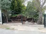 Wyrób kuty: Kute Ogrodzenie Posesyjne z Ornamentyką Klasyczną
