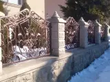 Wyrób kuty: Kute Przęsło Ogrodzeniowe Zdobione Winoroślą