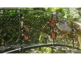 Wyrób kuty: Kuty Most Ogrodowy z Balustradą Ornamentalną